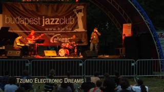 Budapest Jazz Club Stage - Sziget 2009