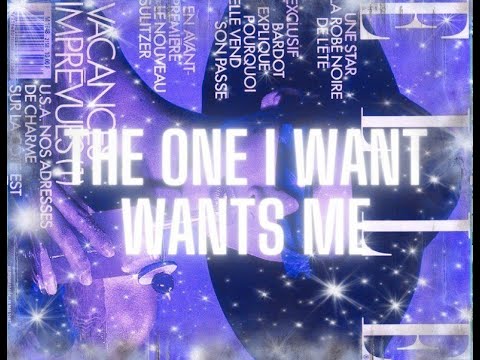 NLP The One I Want Wants Me -  With Morphic Fields - Powerful Subliminal Audio