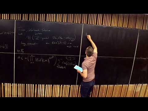 Fabian Haiden - Legendrian skein algebras and Hall algebras