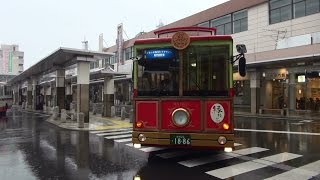 preview picture of video 'JR西日本 松江駅 北口 バスのりば 路線バス群 一畑バス　松江市交通局　他 Rain 2015.1'