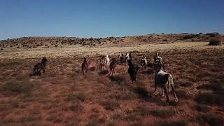 Karoo Ranching EAstern Cape SA