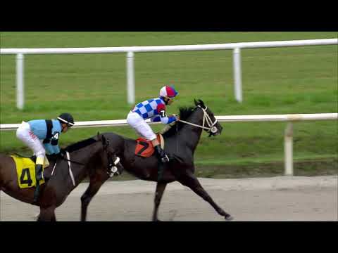 211128 c01 NEVER LOSE