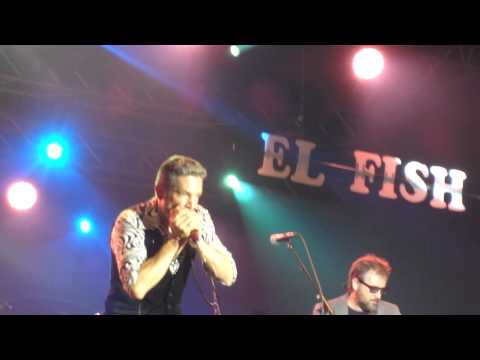 el fish live op BRBF 2012