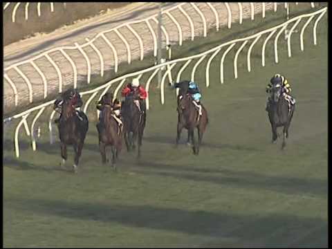 Galoppo 04/01/2015 - 2° corsa