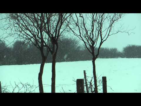 2015.01.30. Intenzív havazás - Intensiv Snowfall