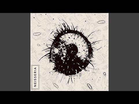 Mash Down (feat. Nish Wadada, Wandem Hornz Section)