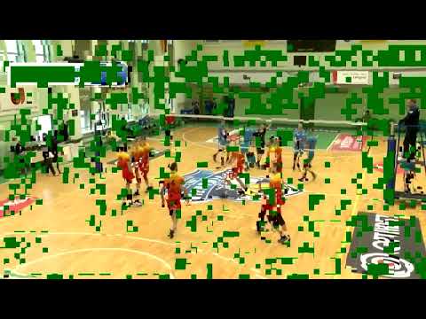 Novoletov Aleksandr  Setter