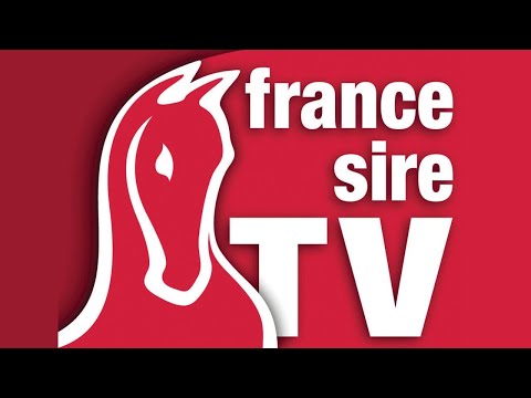 J2 - Lot 229 à 347 - Arqana Vente de Yearlings d'Octobre 2023