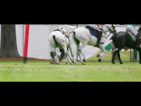 URBAN POLO TV- It's a Full Contact Sport