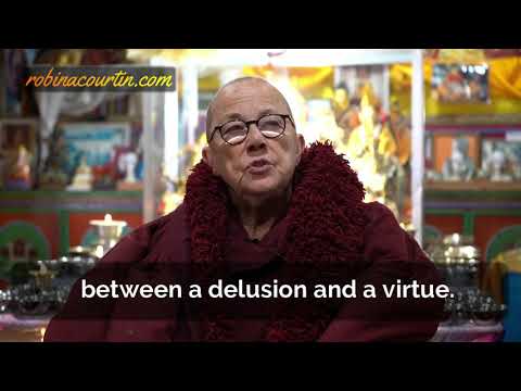 Seeing the Difference Between Delusions and Virtues Is a Revelation. Ven Robina Courtin, 2019
