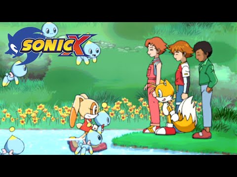 SONIC X - EP22 Little Chao Lost | English Dub | Full Episode