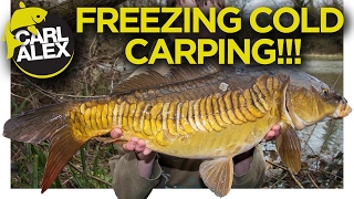 CARP FISHING at the SECRET LAKE!