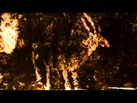 Toned Cyanotype Animation | Cyanotype Animation by Edd Carr