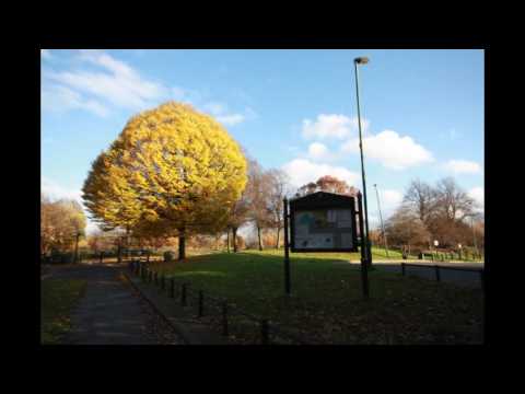 Capital Ring Walk | Route 10 | South Kenton to Hendon Park