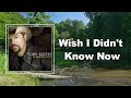 Toby Keith - Wish I Didn't Know Now (Lyrics)