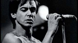Iggy Pop - Talking snake