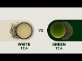 White Tea Vs Green Tea What S The Difference Between Green Tea And White Tea