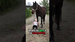 Horse listens to little girl #youtubeshorts