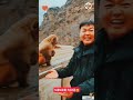 Fun With Monkey Fun Dubbed Comedy Atrocities KALAKALTAMILMEDIA