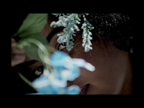 Bluebell Ballad Pitch Video