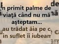 I M Fine Sunt Bine