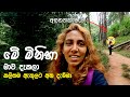 ඇල්ලෙදි මම මුහුණ දුන් අප්‍රසන්න සිදුවීම 🥹🇱🇰  Scary Experience in Ella, Sri Lanka ⚠️
