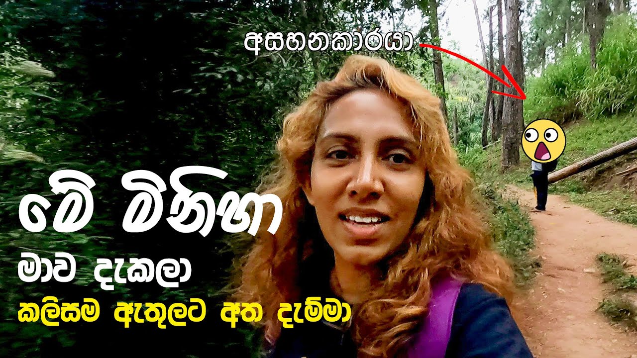 ඇල්ලෙදි මම මුහුණ දුන් අප්‍රසන්න සිදුවීම 🥹🇱🇰  Scary Experience in Ella, Sri Lanka ⚠️