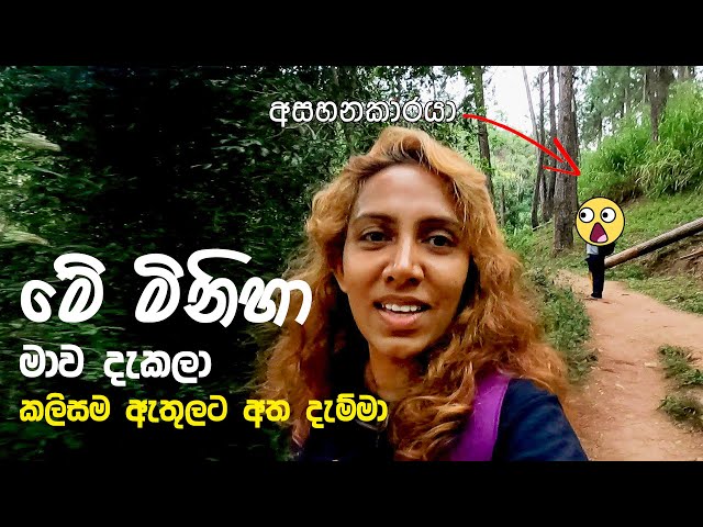 ඇල්ලෙදි මම මුහුණ දුන් අප්‍රසන්න සිදුවීම 🥹🇱🇰  Scary Experience in Ella, Sri Lanka ⚠️
