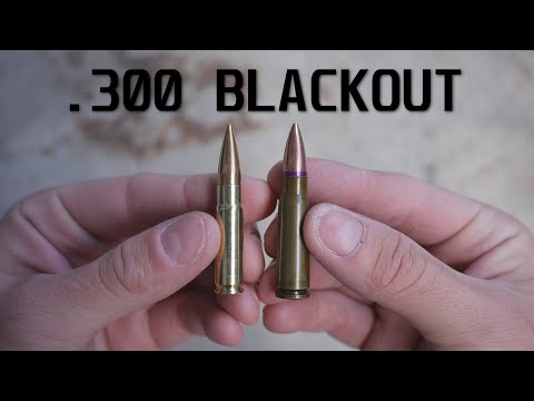 What's the Point of .300 Blackout?