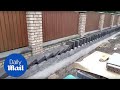 Builder Does Incredible Domino Effect With Hundreds Of Bricks Daily Mail