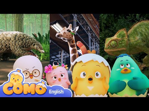 Curious Como SE2 | Fun Quiz series 30min | Cartoon video for kids | Como Kids TV