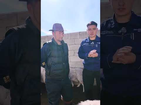 ХОНИН СҮРГИЙН ҮҮЛДЭР, УГСААГ САЙЖРУУЛАХ ЗОРИЛГООР МАЛЧИН ӨРХҮҮДЭД ХУЦ ОЛГОЛОО
