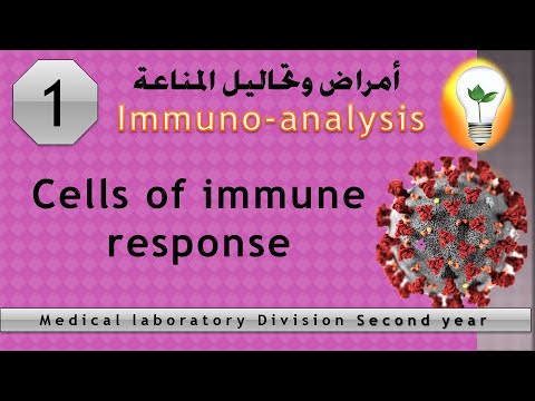 immuno analysis 1 Cells of immune response استجابة الخلايا المناعية