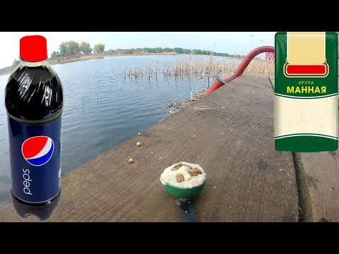 Реакция рыбы на Пепси колу | подводная Съёмка