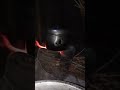 Video Anak Santri Salafi Makan