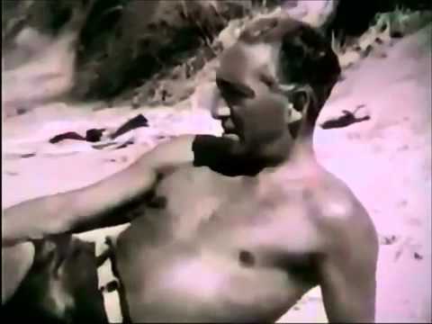 What Is Orgone - Explained