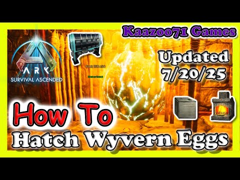 How to Hatch Wyvern Eggs in Ark Ascended💥UPDATED
