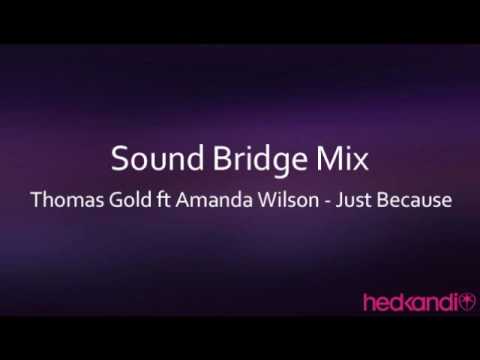Thomas Gold ft Amanda Wilson - Just Because (Sound  Bridge mix)