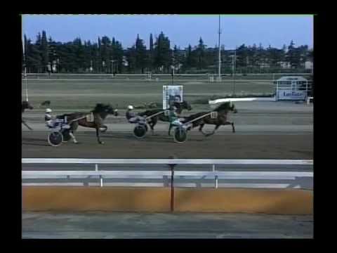 Ippodromo di Follonica Gerard di Già