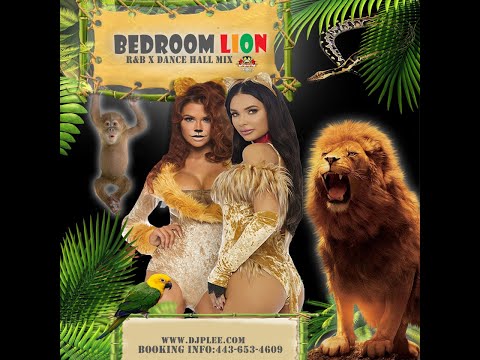 CHINESE ASSASSIN DJ BEDROOM_LION