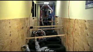 Jackass 3D Electric Avenue