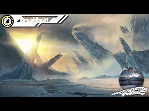 (Breakbeat) Wontolla - Frozen (Feat. Stella Lem) (VIP Mix) [Diversity Recordings]