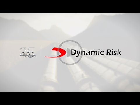 Dynamic Risk Corporate Overview