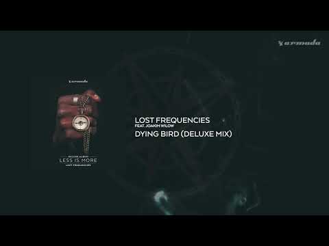 Videoclip de Dying Bird (Deluxe Mix) — Lost Frequencies