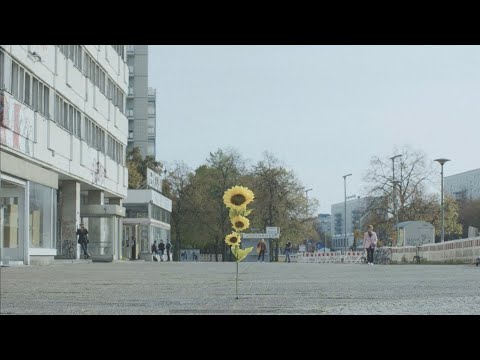 Tiemo Hauer - Gespräche über die Vor- und Nachteile des Atmens (Official Video)