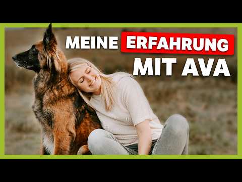 Das mache ich beim nächsten Hund NICHT mehr | Belgischer Schäferhund