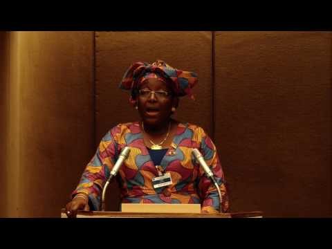 Panel I: Understanding migrant vulnerability - IDM 2017