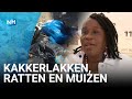 Kraaiennest Bijlmer helemaal klaar met rotzooi en ongedierte