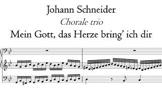 Schneider - Mein Gott, das Herze bring ich dir - Broederkerk, Kampen, Hauptwerk
