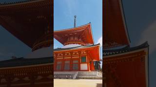 🇯🇵高野山真言密教の総本山　#和歌山 #仏教 #観光 #旅行 #ひとり旅 #癒し #日本 #高野山 #南海電車 #japan #japantravel #japaneseculture